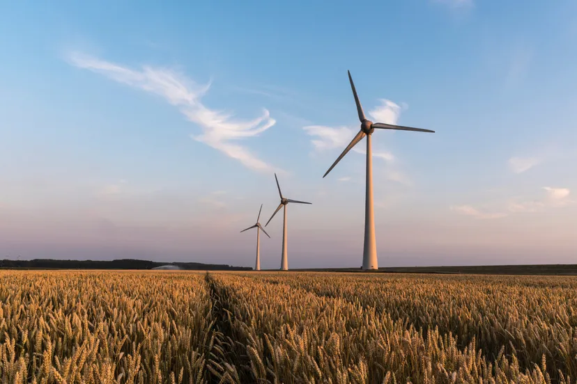 windmolens graanveld prov flevoland