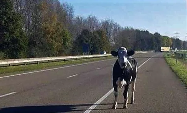 080713ca 37d9 11ec 8a7c 02c309bc01c1