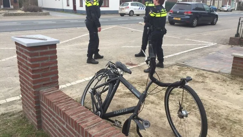 10011200 350932601780884 3924640115034592666 n