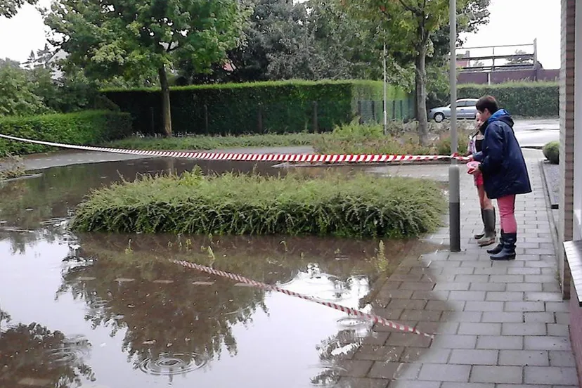 10358145 897701453591544 7522889586744564462 n