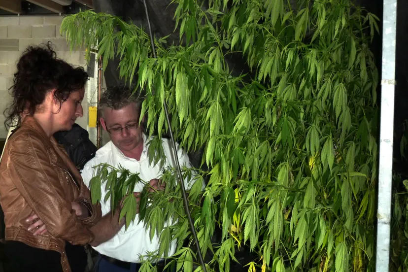 11222332 1485651558419426 1950689608302677575 o