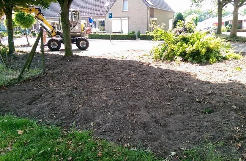 11715916 1161018393924290 413906607 n