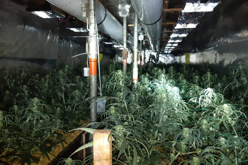 117681550 1464131533794313 3827522338565459838 o