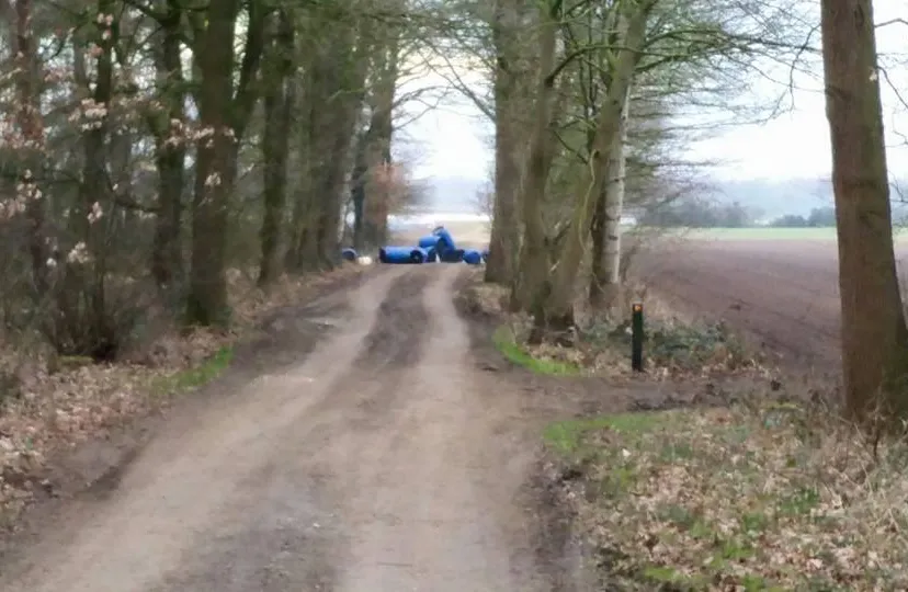 12074729 477902982417178 1661550661016467642 n