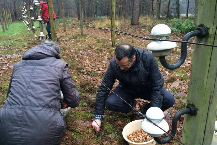 12108766 854155604713650 4934942127689961372 n