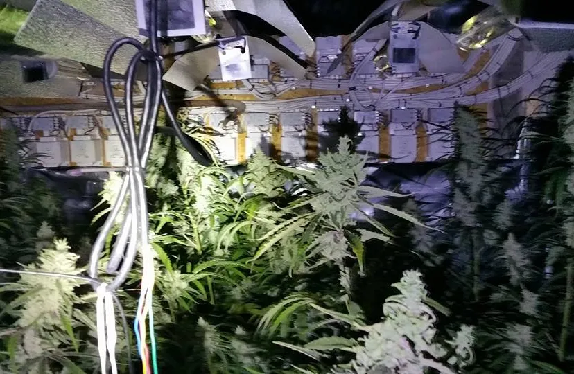 12115703 429364510604359 5861161908035221392 n