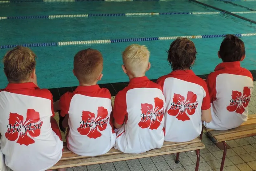 12116011 628809350555607 3699388925356397965 n