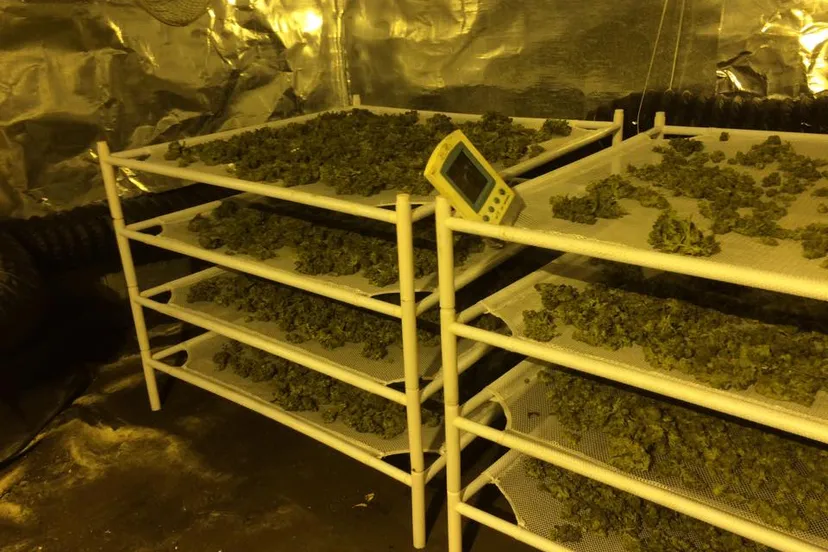 12341276 1649558658616175 8222611626305262 n