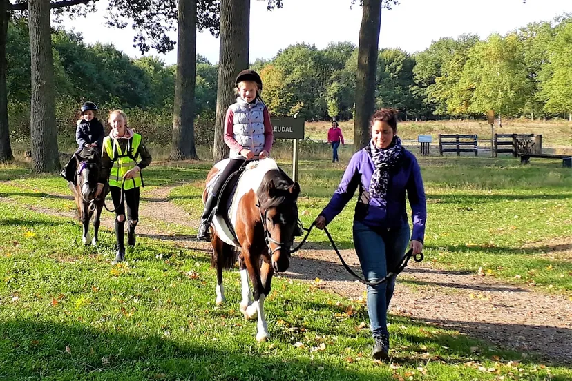 135538535 4259391034077207 4432969622957000394 n