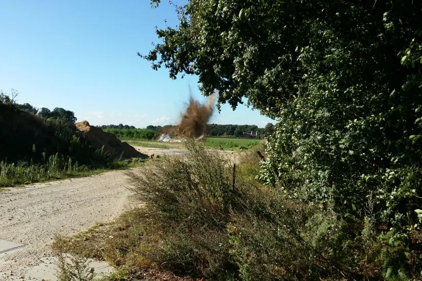 14589827 560330267507782 2156292251632728579 o