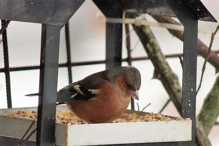 147662633 10218548439568880 7113835543324751976 o