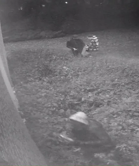 14915650 1151226498278752 5867423465975736434 n