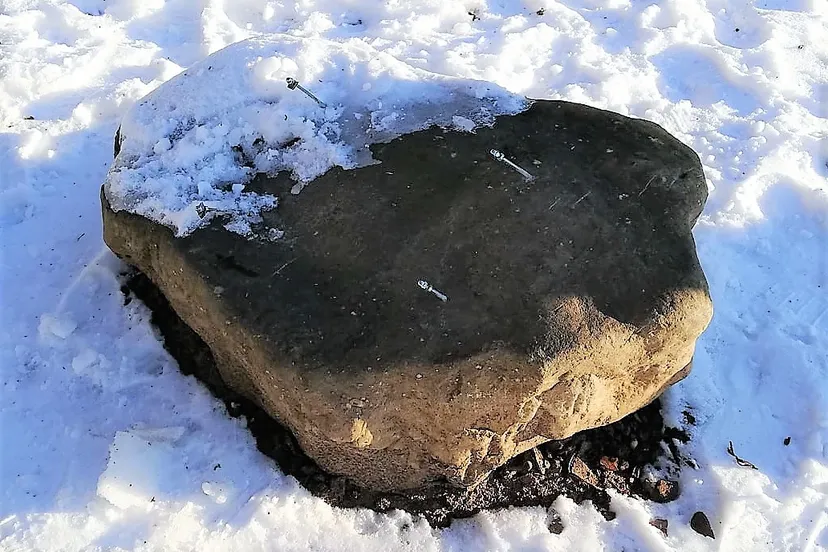 149391158 2703784156618678 5928338423676935744 o