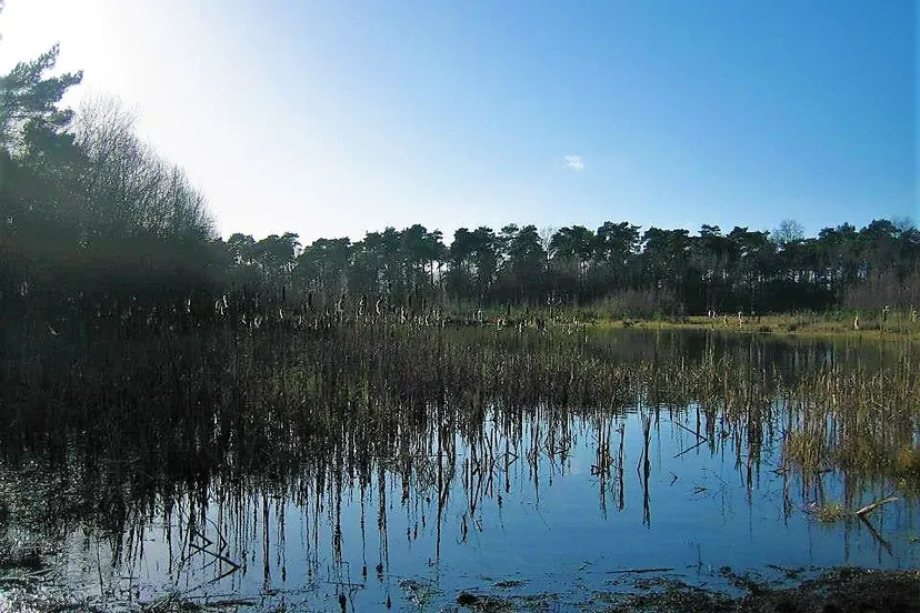 1511480 787368664624824 2128626265 n