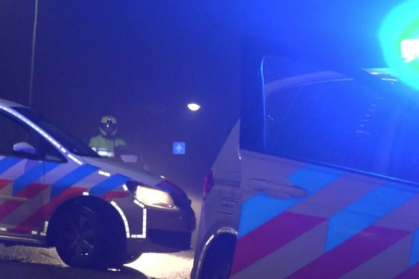 15585414 1793392617566111 1452905755785097014 o