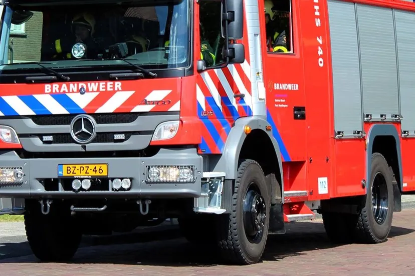 1597716 1395490520590156 1096510526 o