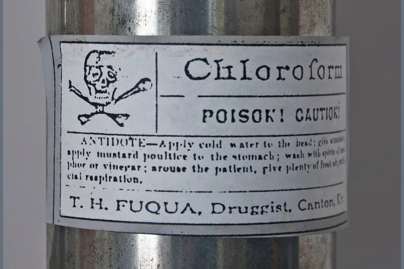 16932332446 6474242cf2 k