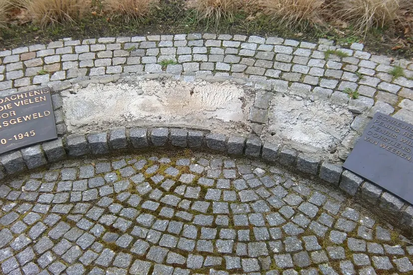 17358825 818607408291119 2660927091215596169 o