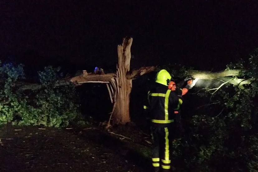 20229730 702285149978959 697190450746588992 o