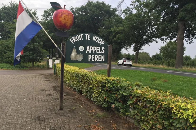 20479996 775070479341288 2150849018222356346 n