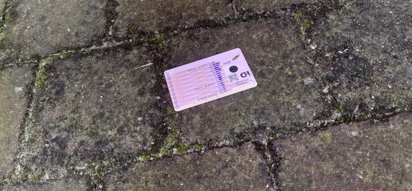 213787042 882321582357678 6017329267673948967 n