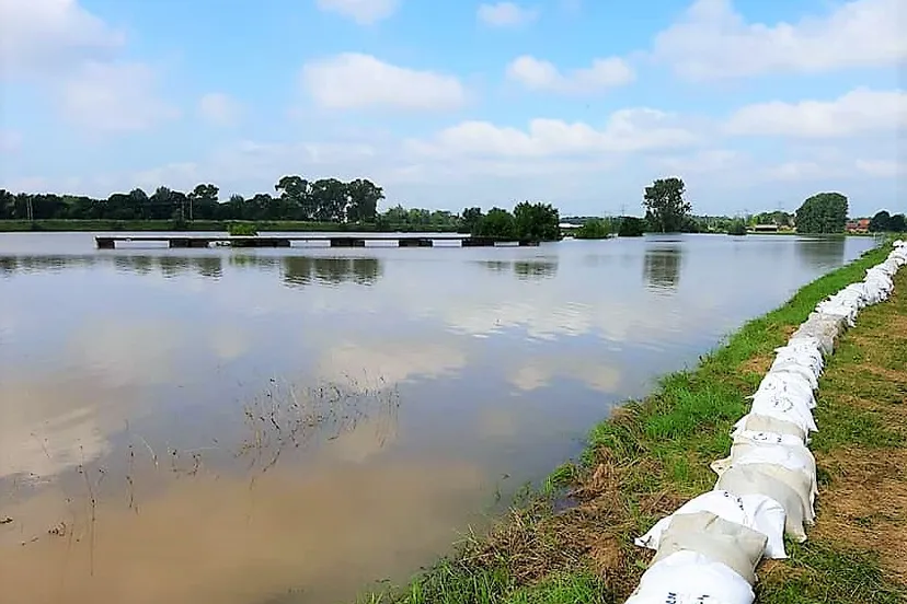 218809603 1802997286538349 8129445082565166208 n 1