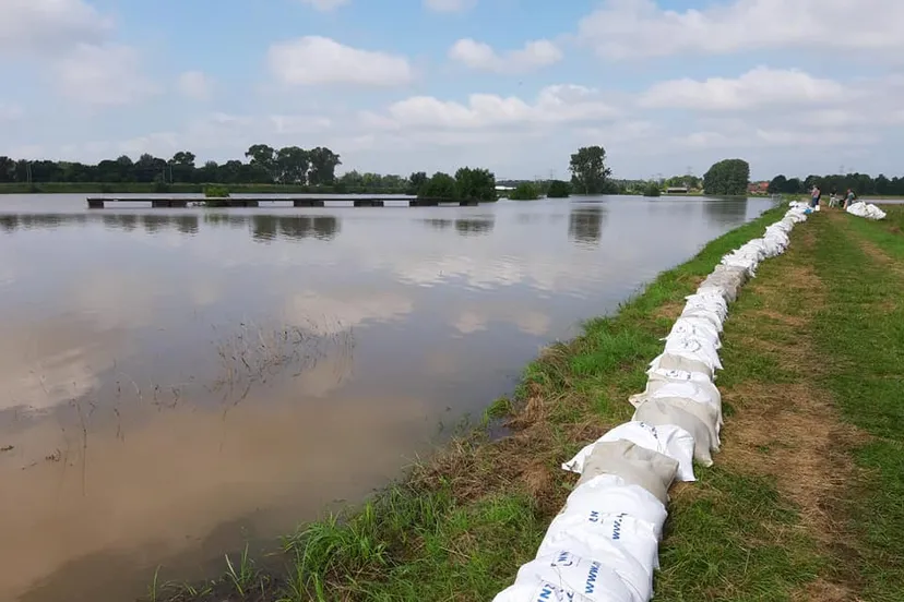 218809603 1802997286538349 8129445082565166208 n