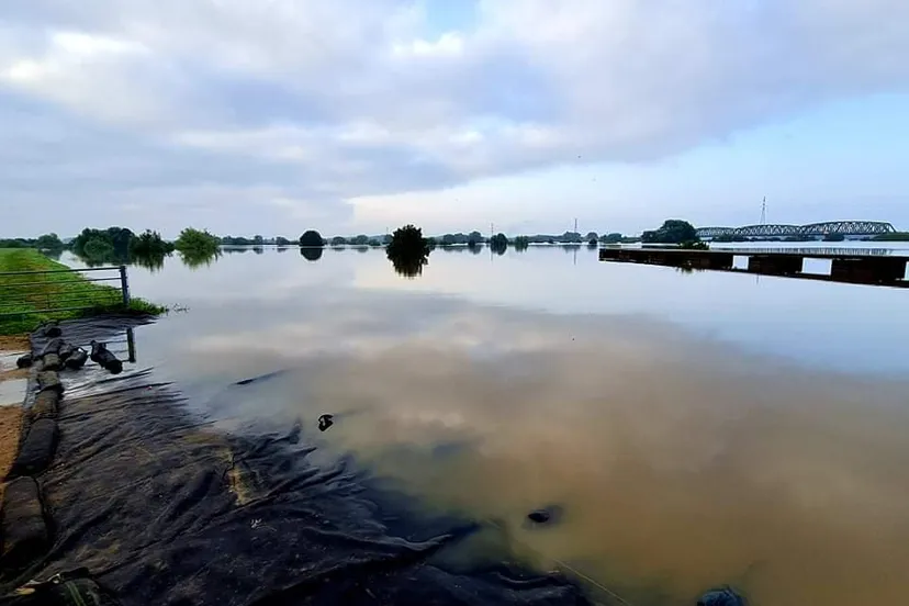 226491402 1811830788988332 2366610497712058153 n