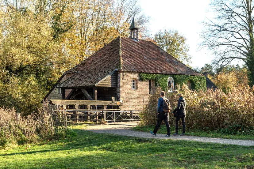 22857 leumolen at marco van de burgwal staatsbosbeheer