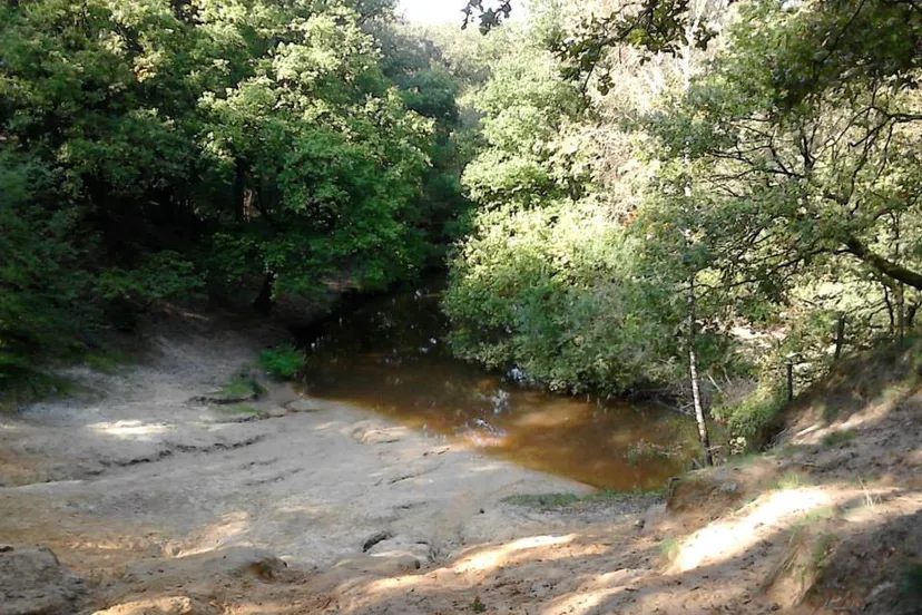 229998 937069662988056 50909674631415010 n