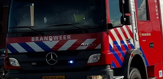 243835435 164117509230007 6778099087519433399 n