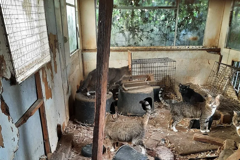 257249090 222108813384838 517505745101728465 n