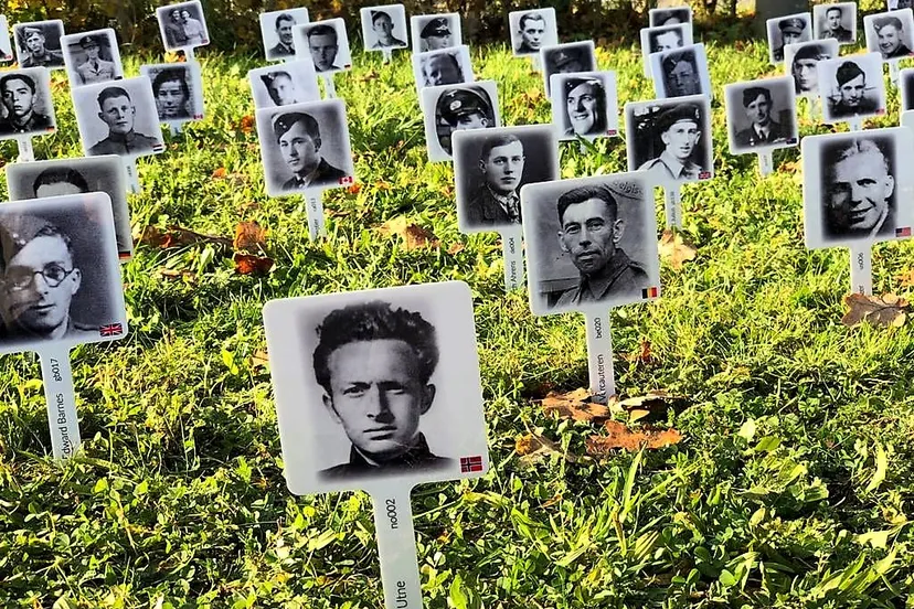 257258174 4454694851283280 6013776181967586139 n