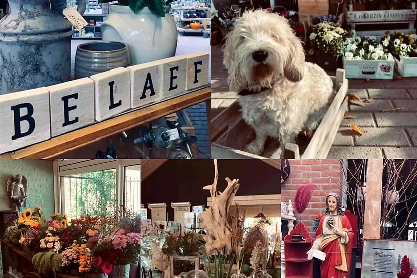 262475379 307728764687930 5205993630813201018 n