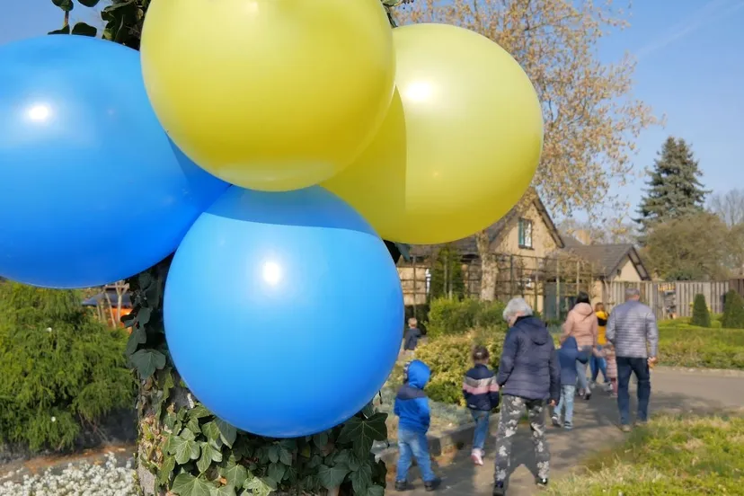 277468224 5770195162997233 6593884746748828490 n