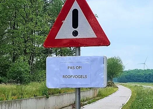 283915375 385452020289552 4929515864988235742 n