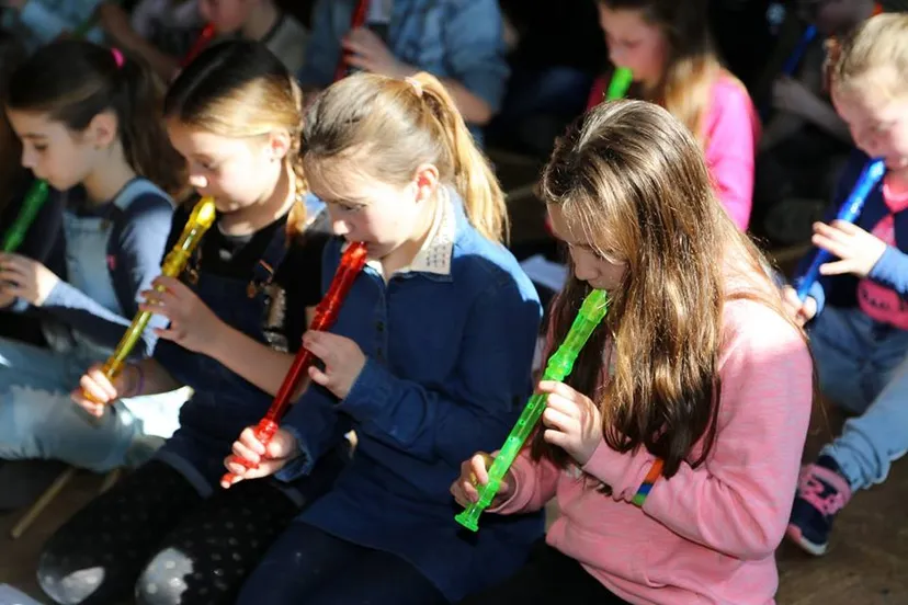 29541959 1690182831005213 3996883254548014759 n