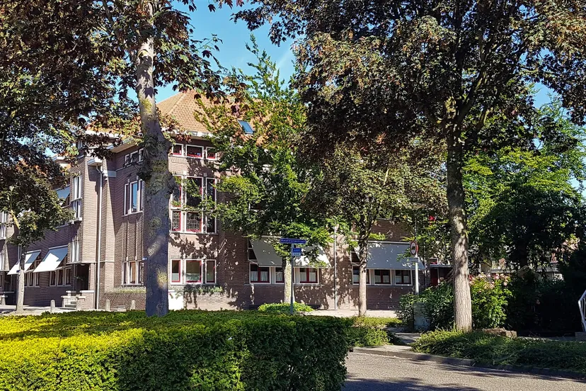 297159043 5351301368296869 2826307770768775784 n