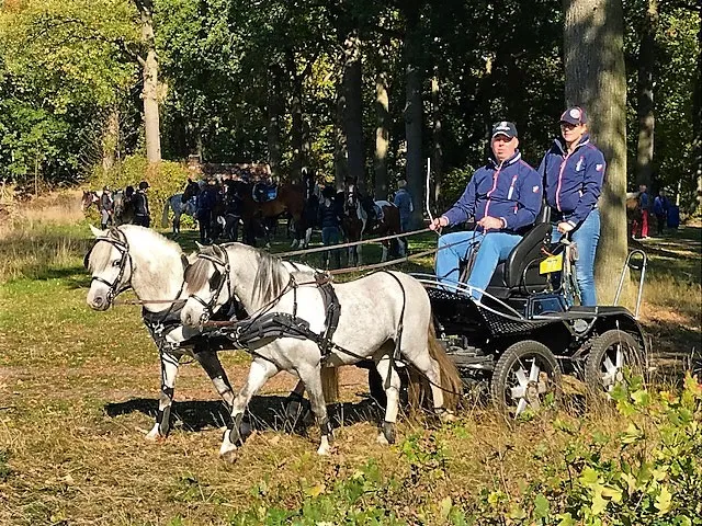 297632914 560054765914445 523724858068710528 n