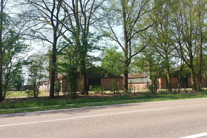 32116297 2165989046762772 5055091458449604608 n