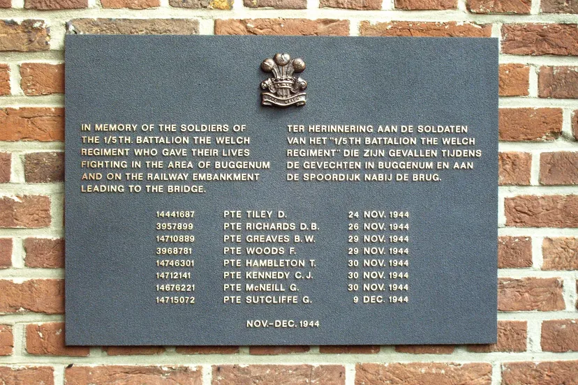 341022127 1343429219722479 3693596331844305847 n