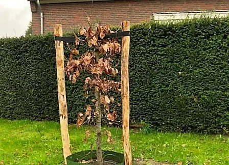 343062912 202322502588964 4607914053329956680 n