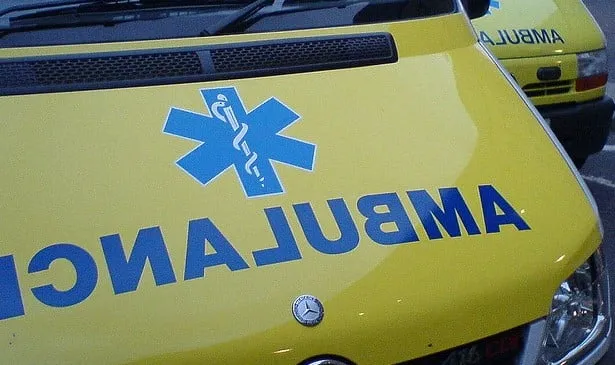 35653069 29c3db03a4 z