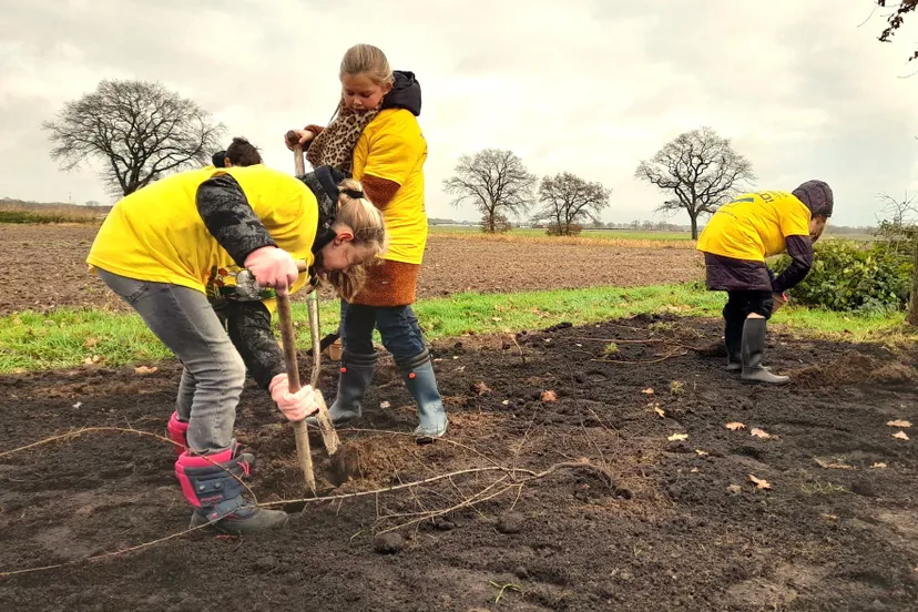 409782071 749198253900792 7226297031460042745 n