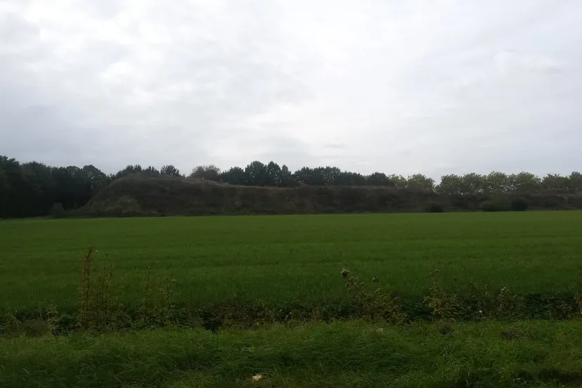 43691894 574153099673039 3755622963873841152 n