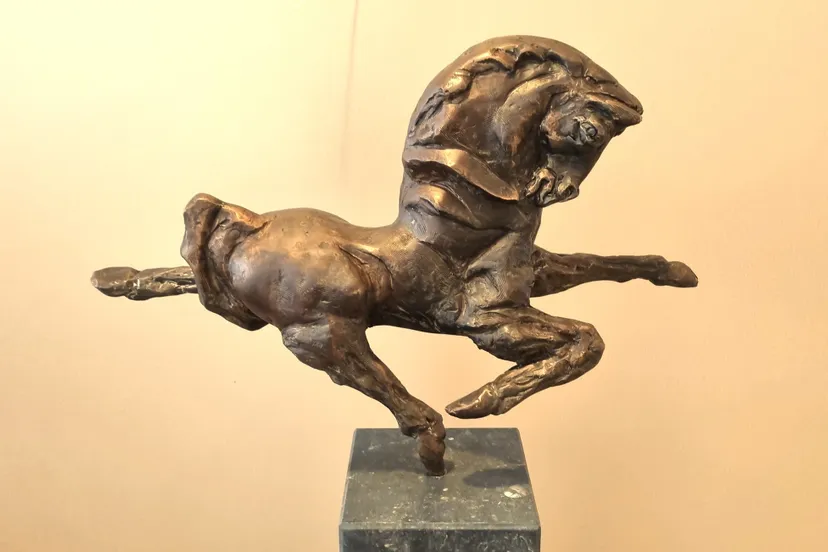 438259490 2384919581693203 2182578785707155509 n