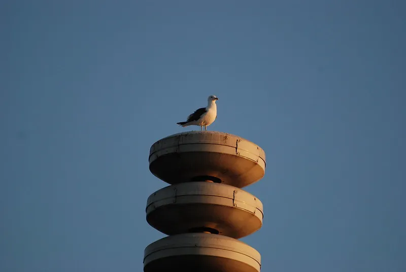 4502882649 57f3ea7bc8 c