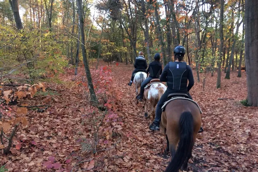 45491501 2018136241557966 4853901283200860160 n