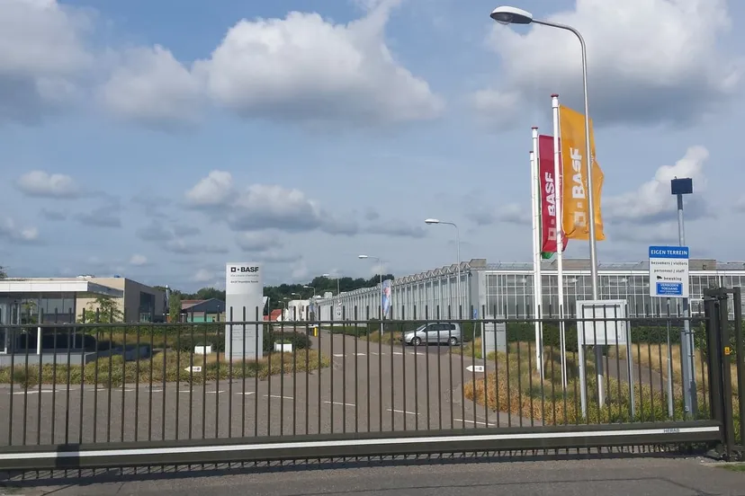 45736515 276476976389015 8379469207242276864 n