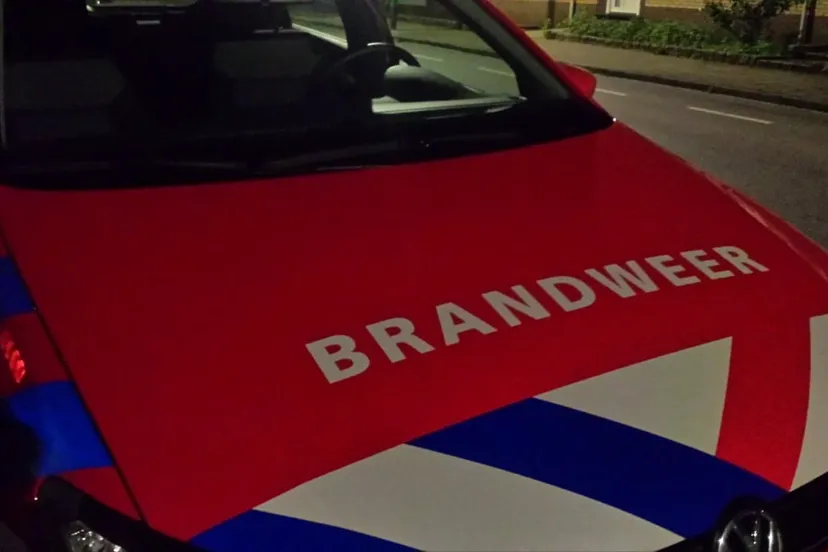 47189837 270992293605401 5066867975307395072 n